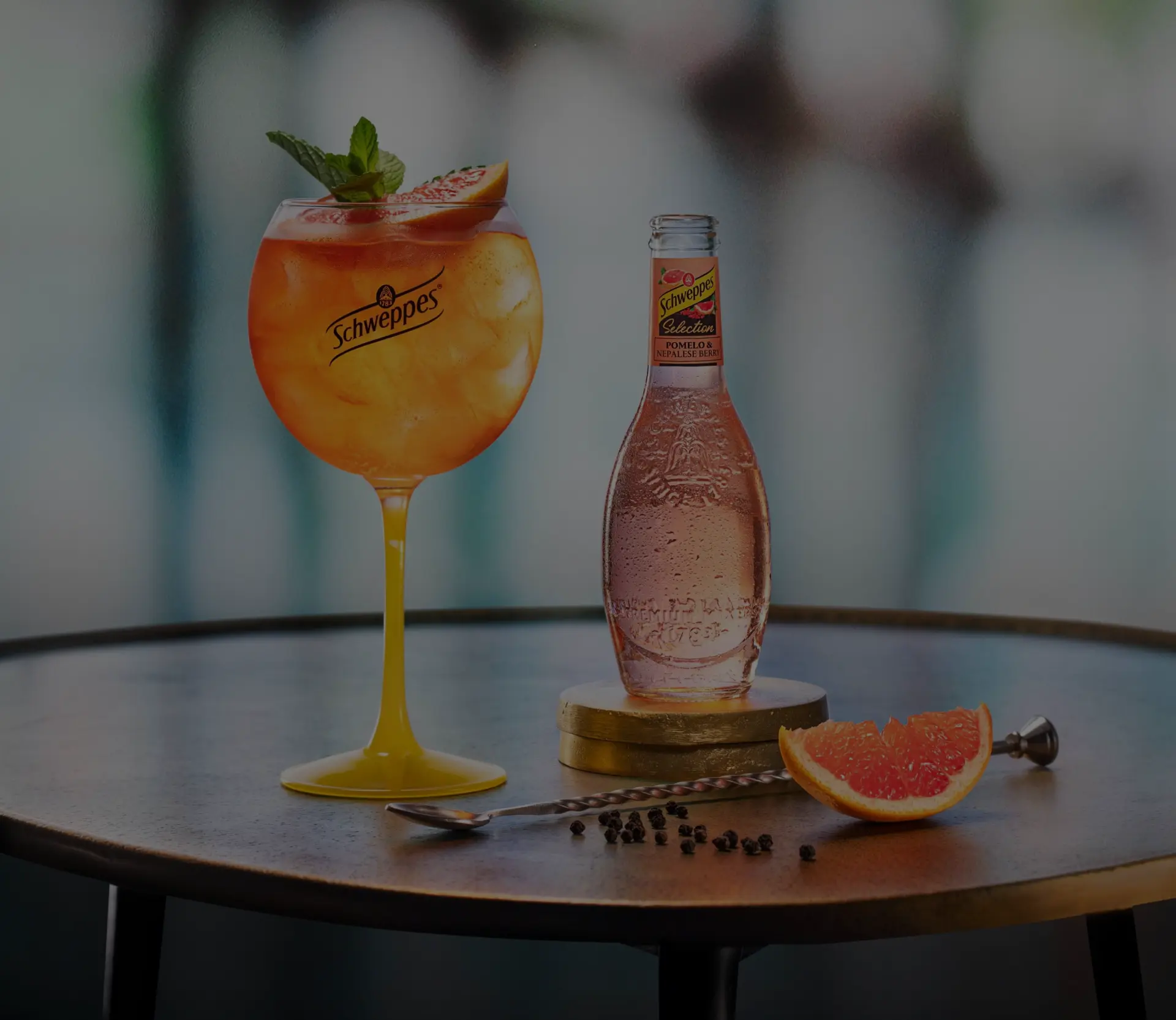 Vignette — Suntory — Schweppes & Oasis